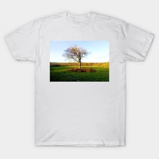 Last Tree Standing T-Shirt